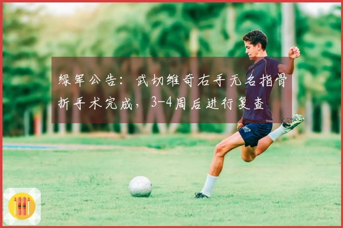 绿军公告：武切维奇右手无名指骨折手术完成，3-4周后进行复查