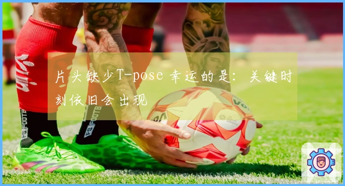 片头缺少T-pose 幸运的是：关键时刻依旧会出现