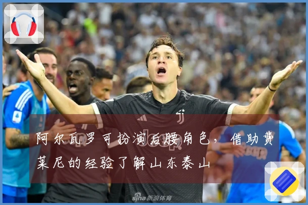 阿尔瓦罗可扮演后腰角色,借助费莱尼的经验了解山东泰山