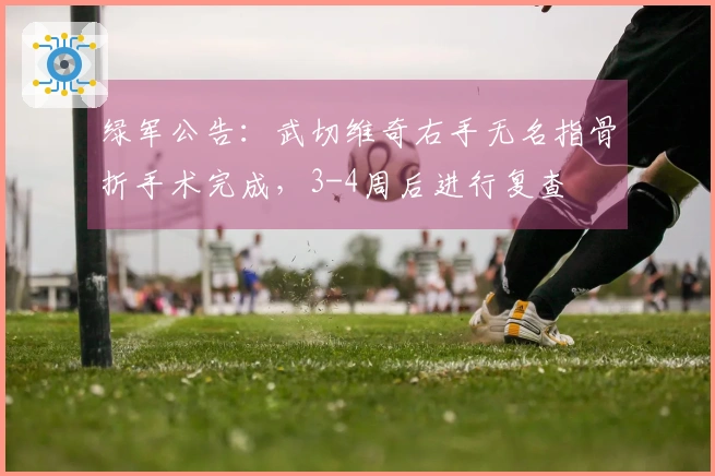 绿军公告：武切维奇右手无名指骨折手术完成，3-4周后进行复查