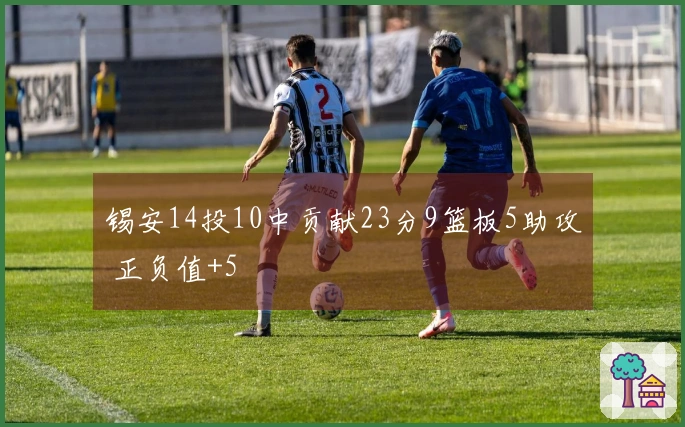 锡安14投10中贡献23分9篮板5助攻 正负值+5