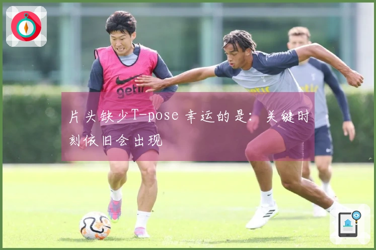 片头缺少T-pose 幸运的是：关键时刻依旧会出现